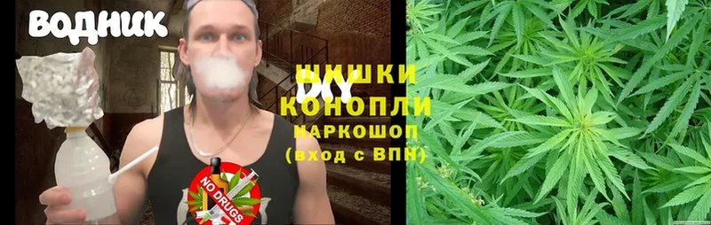 Каннабис OG Kush  Белореченск 